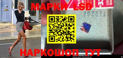 гидра Кандалакша