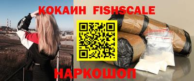 гашик Камышлов