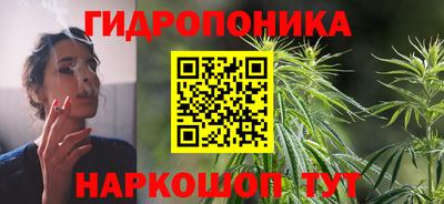 гидра Кандалакша