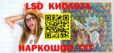 гашик Камышлов