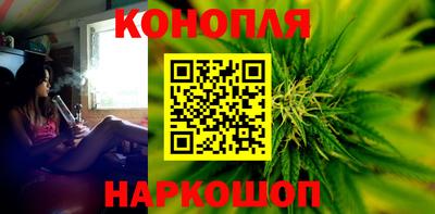 гашик Камышлов
