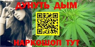 гашик Камышлов