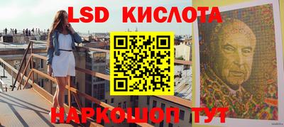 гашик Камышлов