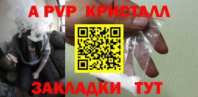 гашик Камышлов